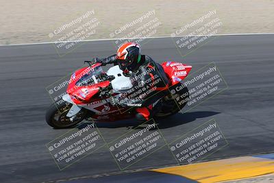 media/Feb-04-2023-SoCal Trackdays (Sat) [[8a776bf2c3]]/Turn 6 Inside (1025am)/